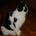 DSC00044
