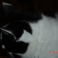 DSC00046