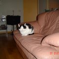 DSC00051