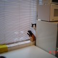 DSC00056