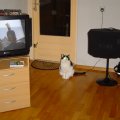 DSC00002