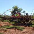 DSC00251