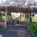 DSC00254