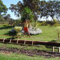 DSC00258