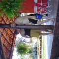 DSC00265