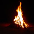 DSC00337