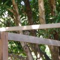 DSC00358