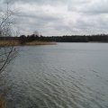 DSC00110