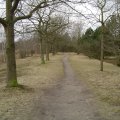 DSC00113