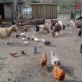 DSC00140