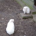DSC00143