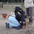 DSC00151