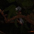 DSC00158