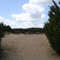DSC00227