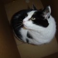 DSC01404