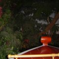 DSC01104