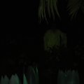DSC01157
