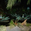 DSC01158