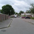 DSC01184