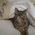DSC01195