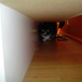 DSC01197
