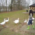 DSC01802