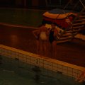 DSC01777