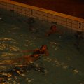 DSC01781