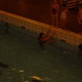 DSC01790