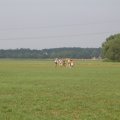 DSC01575