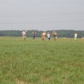 DSC01577