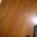 DSC02510