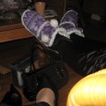 IMG_0925