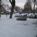 IMG_0868