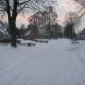 IMG_0869