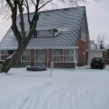 IMG_0870