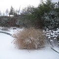 IMG_0875