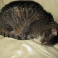 IMG_0945