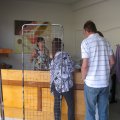 IMG_0477