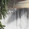 IMG_0556