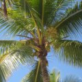 IMG_0647