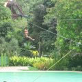 IMG_0672