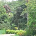 IMG_0675