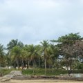 DSC04867