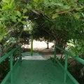 DSC04883