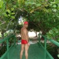 DSC04884
