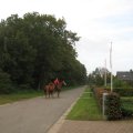 IMG_1505
