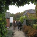IMG_1549