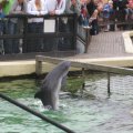 IMG_1272