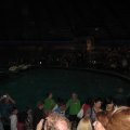 IMG_1277